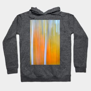 Autumn Abstract Hoodie